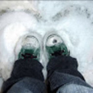 Meet your Posher, Leionna